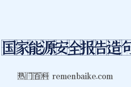 国家能源安全报告造句是什么意思的图片